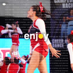 Upd0274   Copia (2)