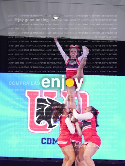 Upd0381