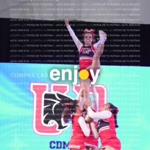 Upd0381