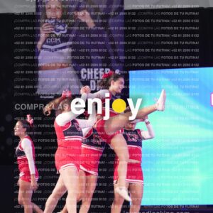 Upd0393