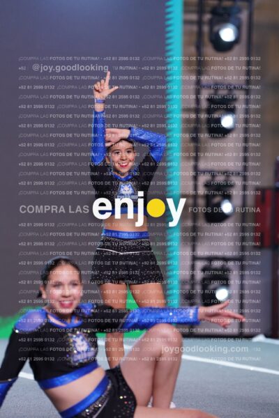 Ais0308