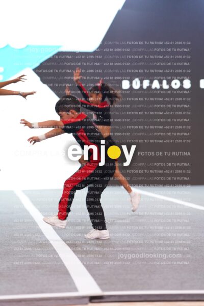 Bem0209
