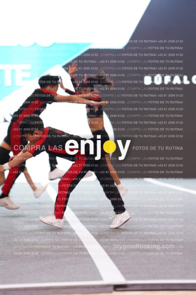Bem0210