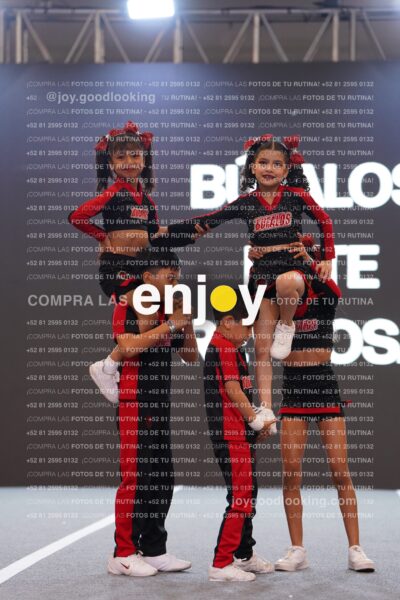Bem0241