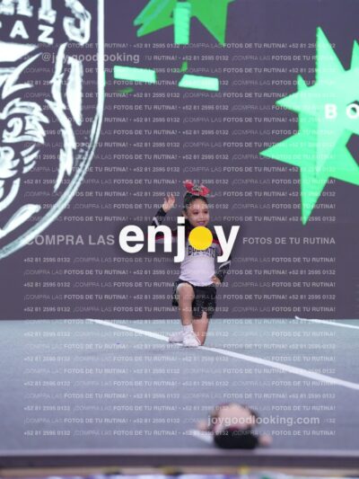 Blp0339
