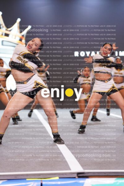 Bqs0377