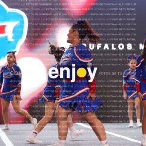 Buf0194