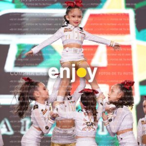 Cac0310