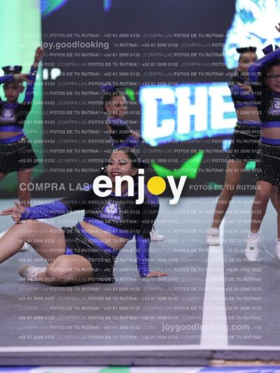 Cas0446