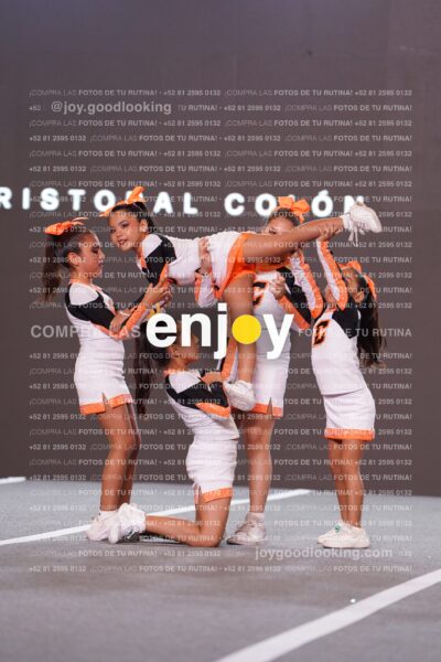 Cco0222