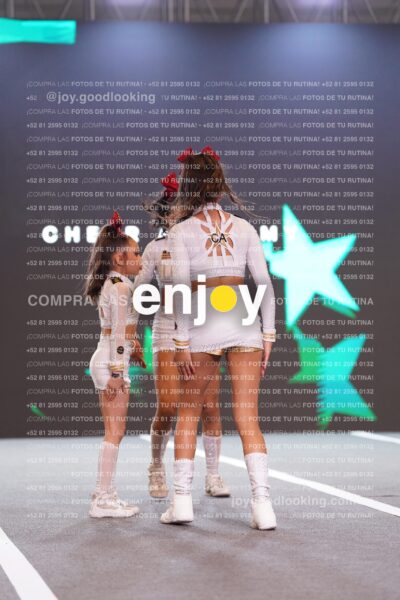Com0219