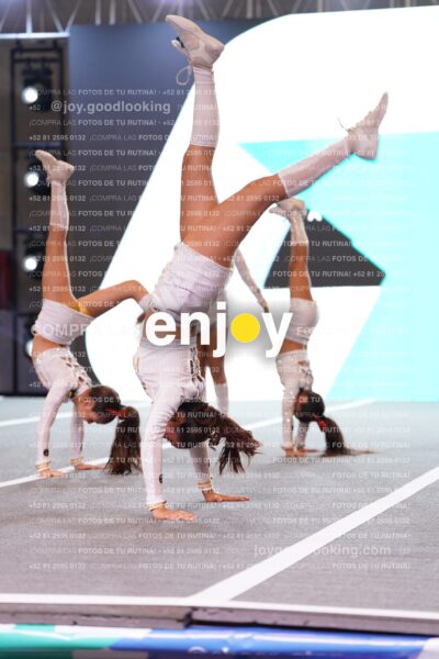 Com0236