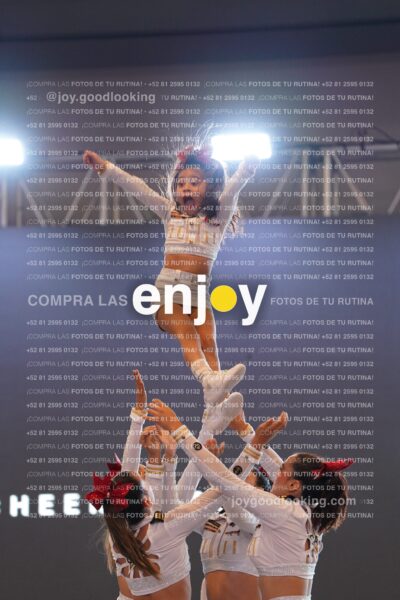 Com0290