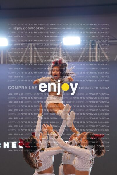 Com0291