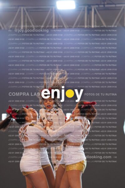 Com0293