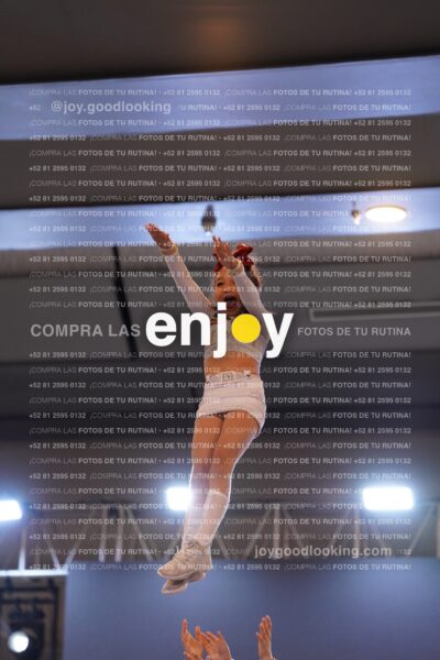 Com0315