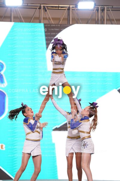 Cub0295