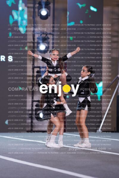 Ddq0311