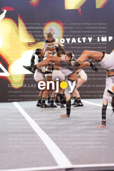 Dyn0253