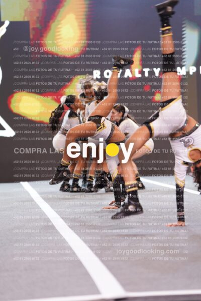 Dyn0254