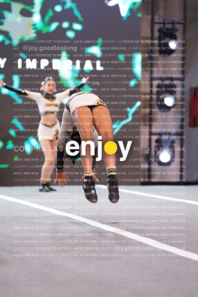 Dyn0297