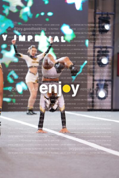 Dyn0298