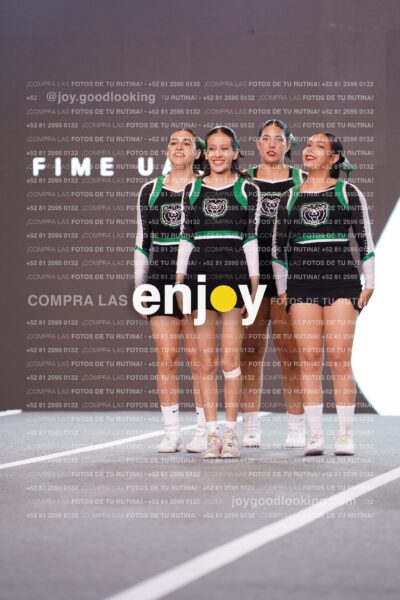 Fmu0285