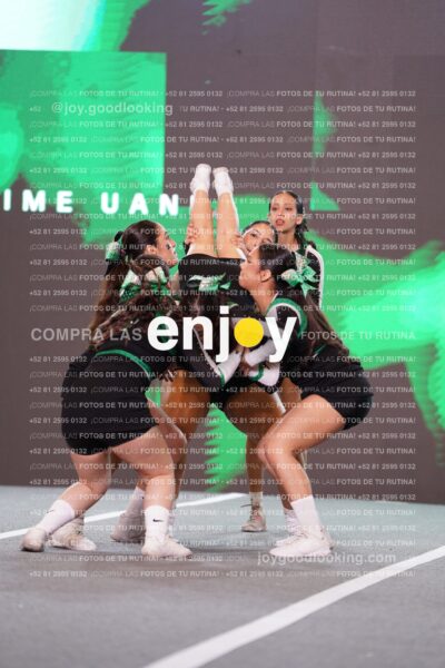 Fmu0323
