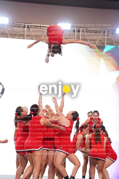 Fpy0178