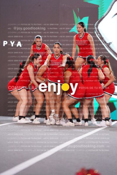 Fpy0193