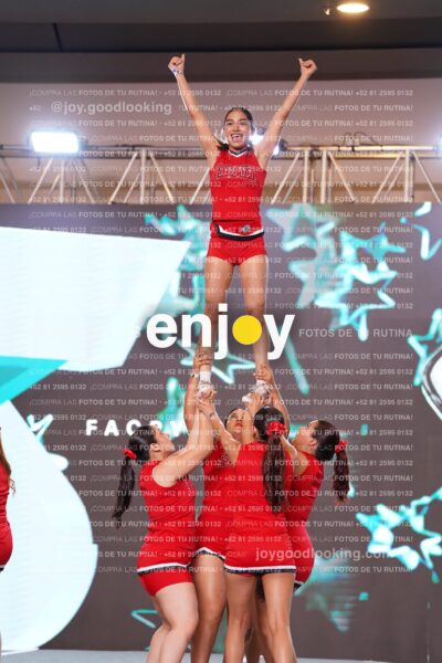 Fpy0238