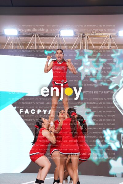 Fpy0240