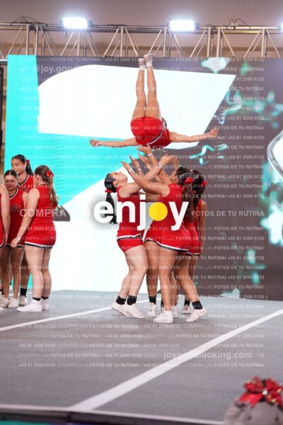 Fpy0243
