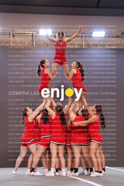 Fpy0294