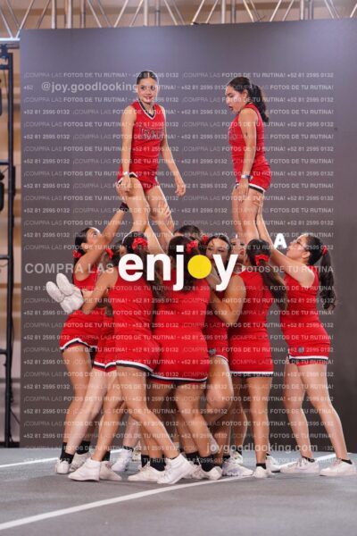 Fpy0295