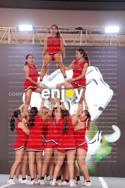Fpy0312