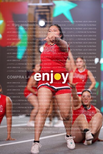 Fpy0341