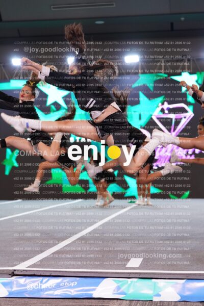 Fqs0394