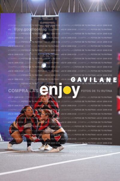 Gav0132