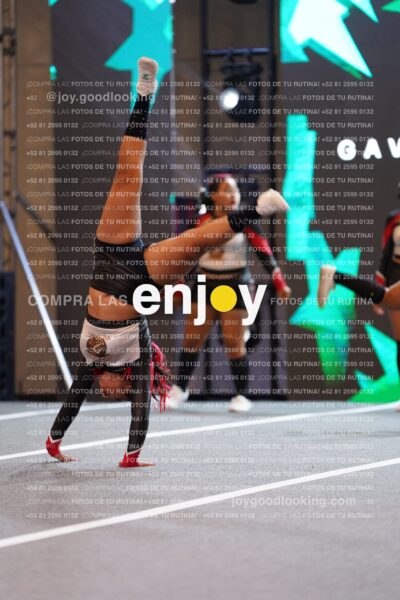 Gav0210