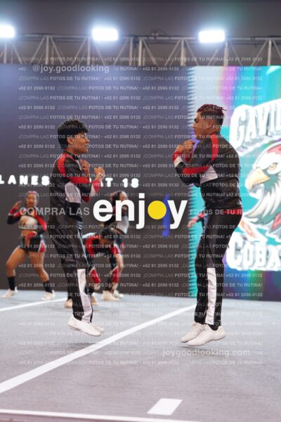 Gav0230