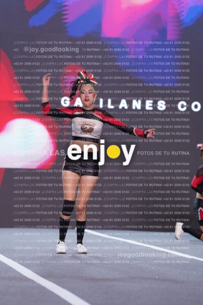 Gav0274