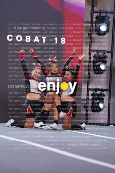 Gav0280
