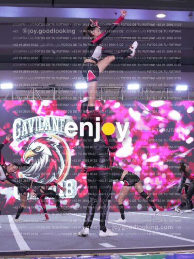 Gav0291