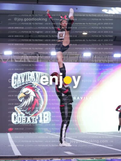 Gav0293