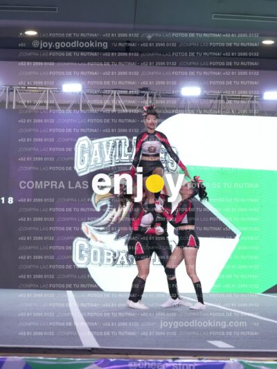 Gav0307