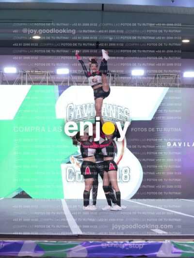 Gav0311