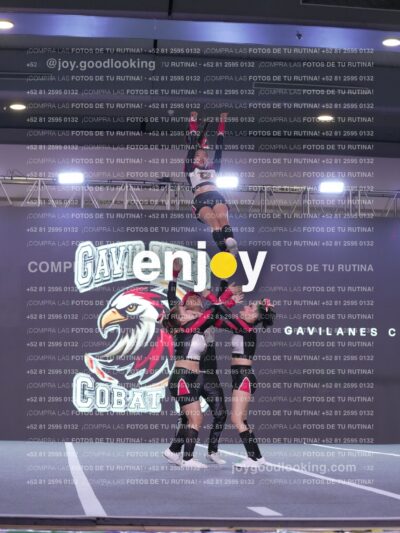 Gav0322