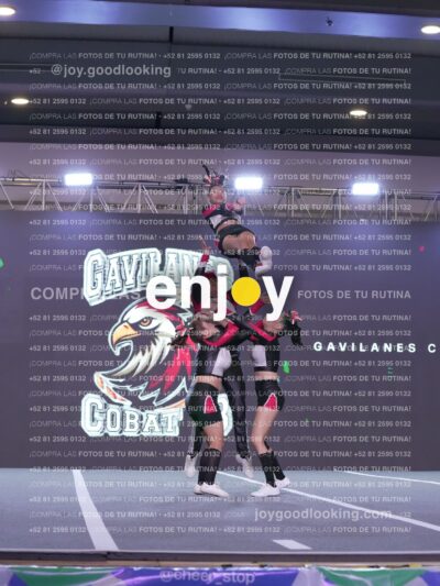 Gav0323