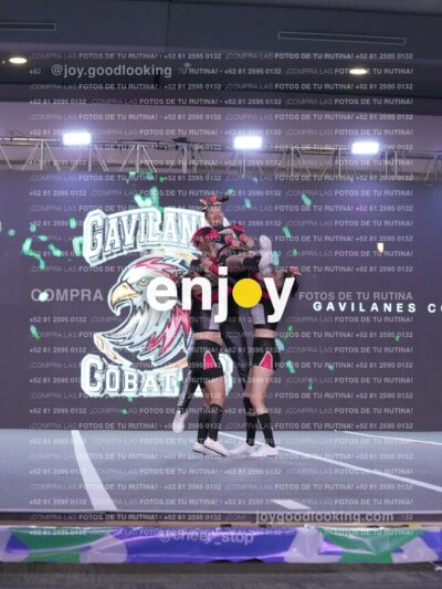 Gav0324